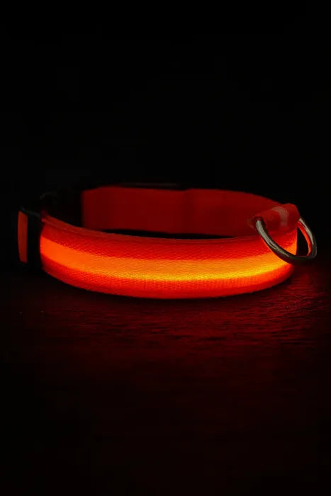 Glowguard